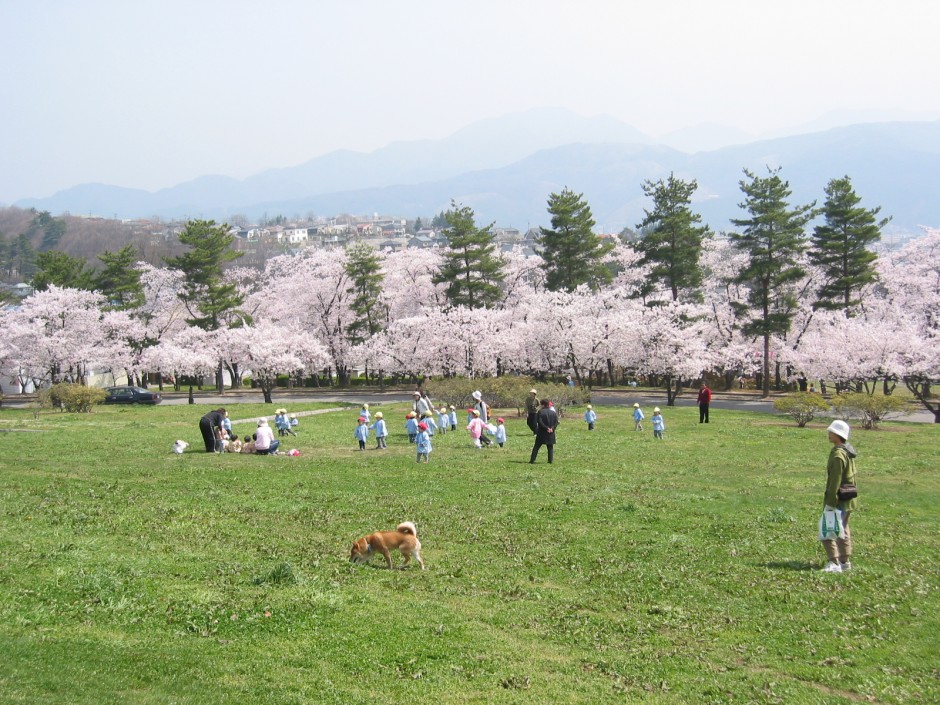 城山公園>